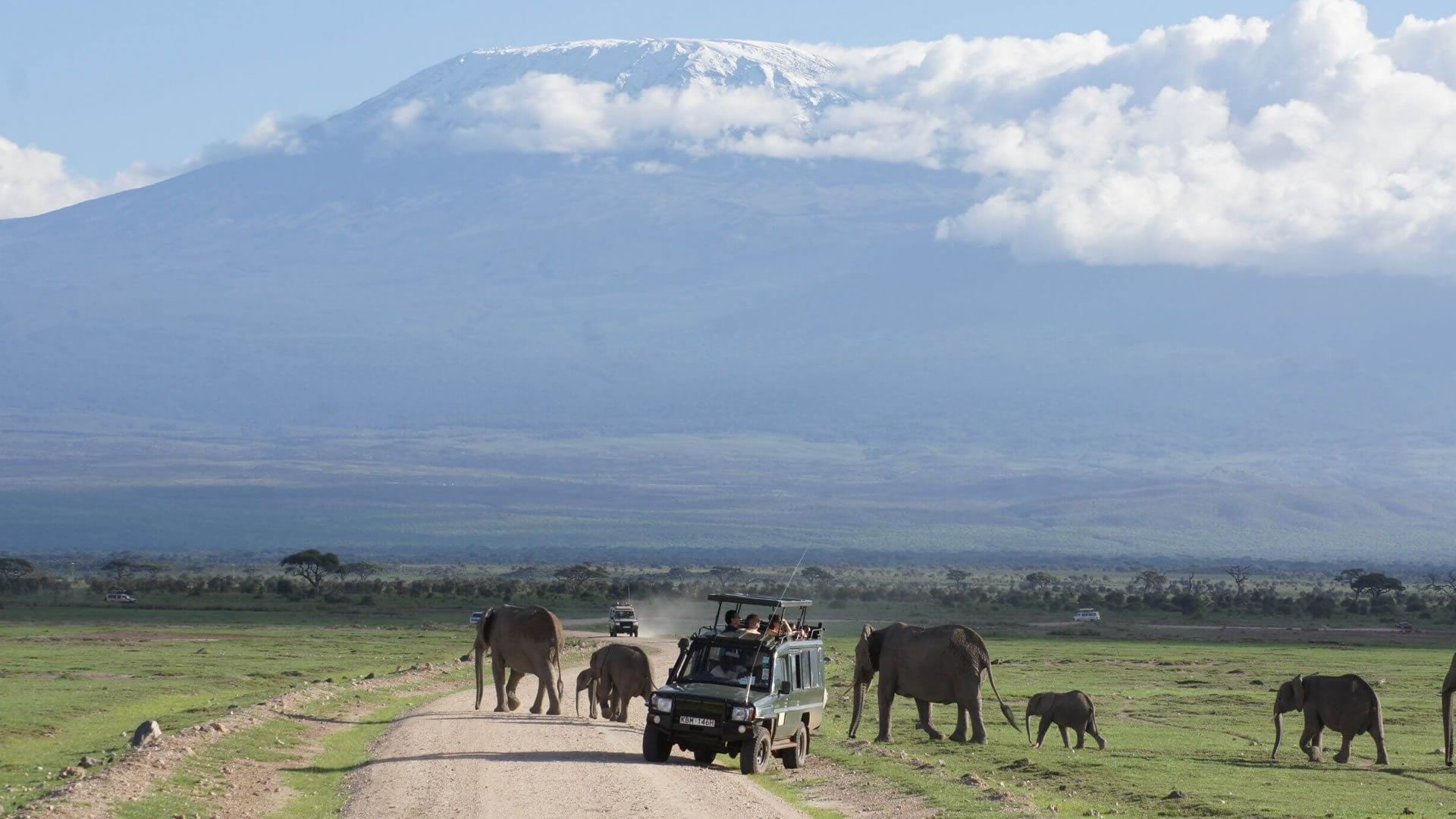gamedrive at amboseli national park