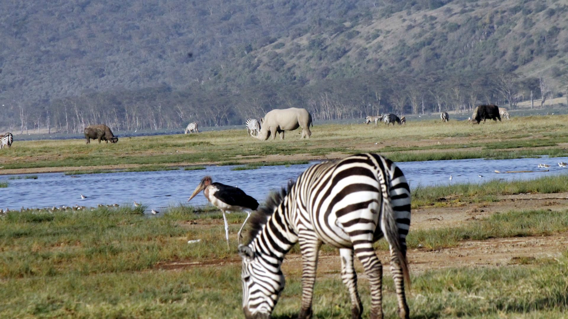 lake-nakuru-national-park1