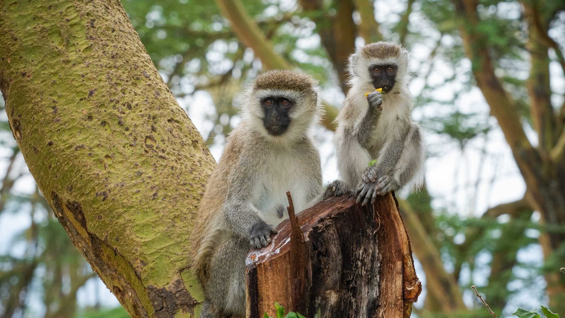 lake-nakuru-national-park2