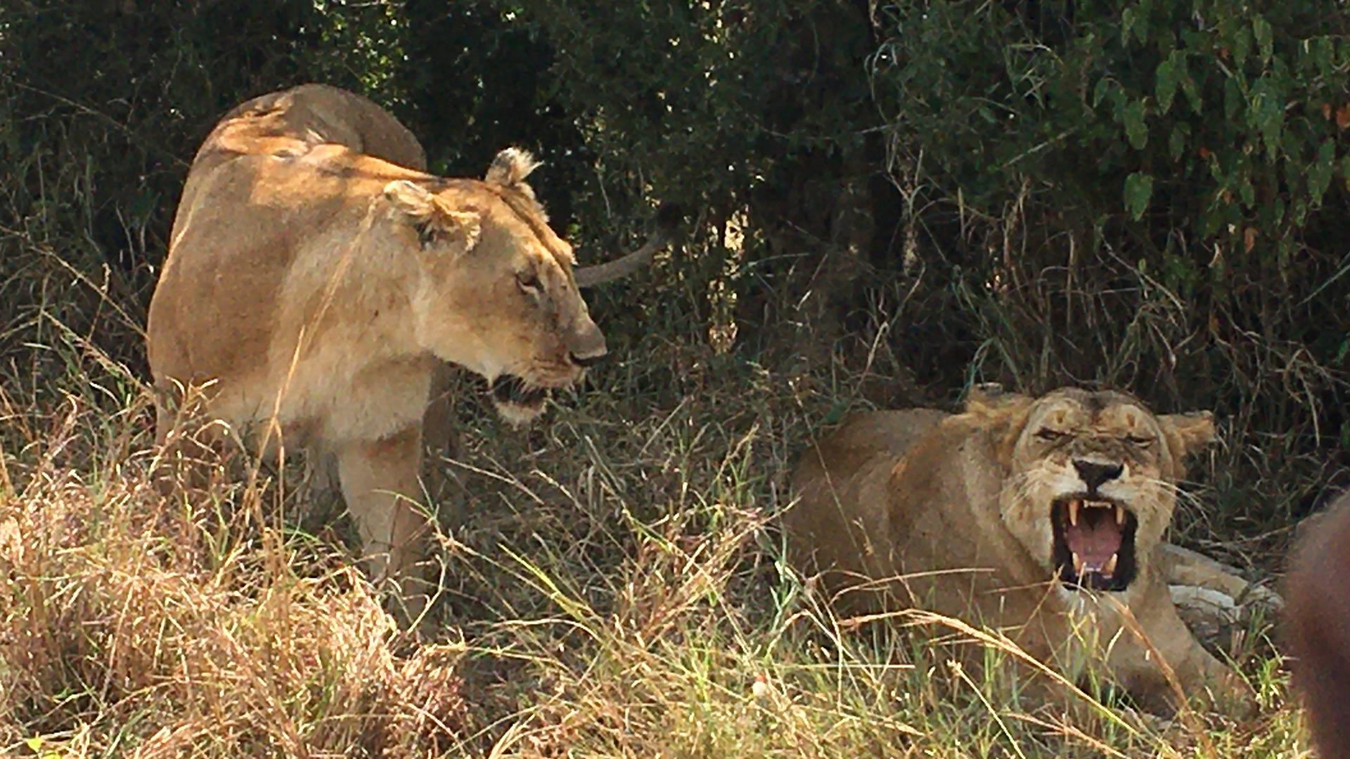 lake-nakuru-national-park3