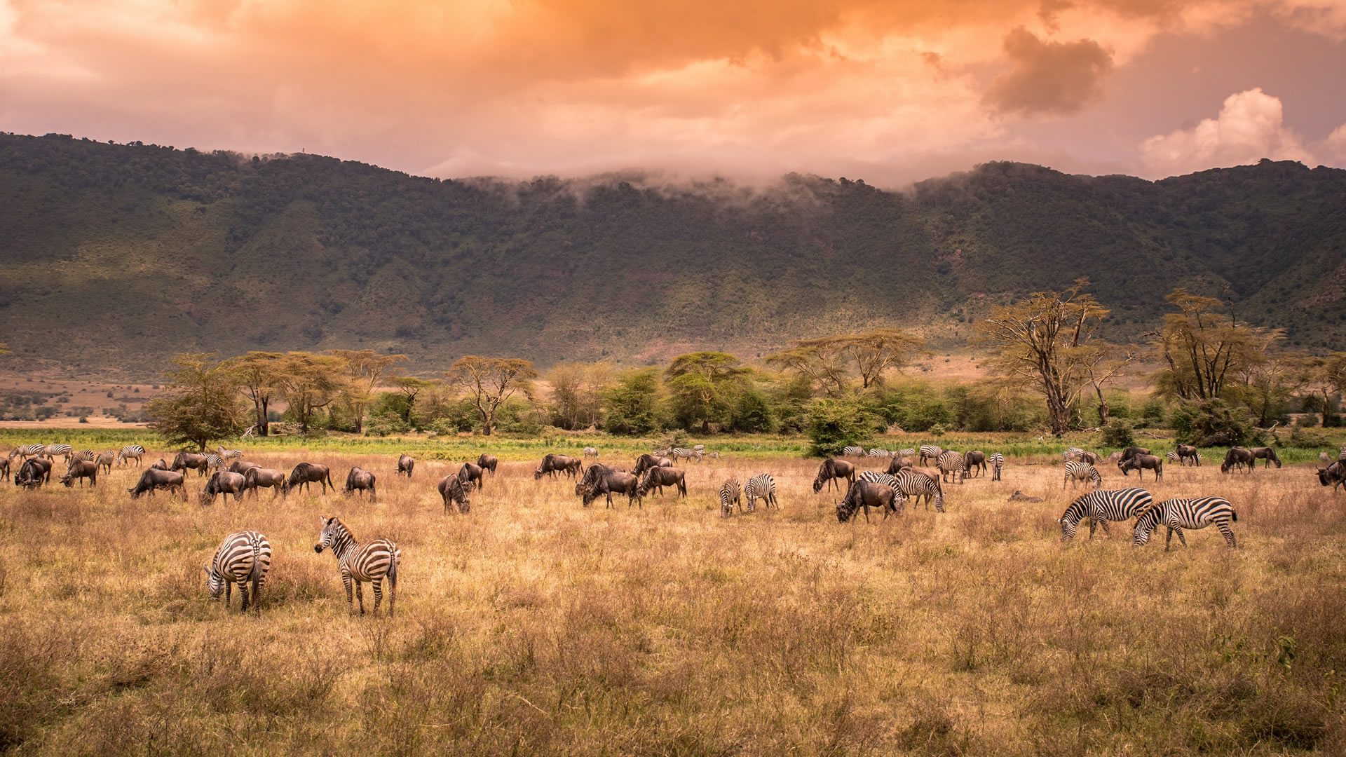 ngorongoro-conservation-area2