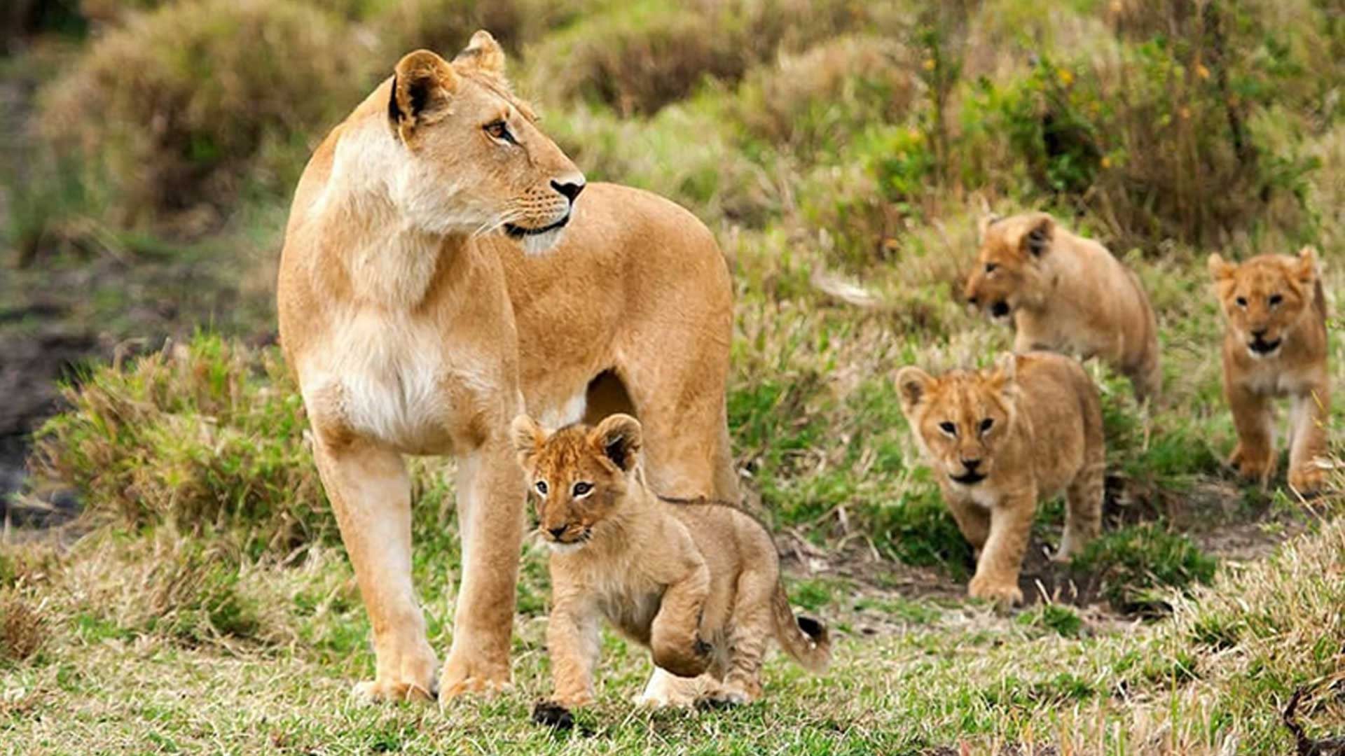 ngorongoro-conservation-area3