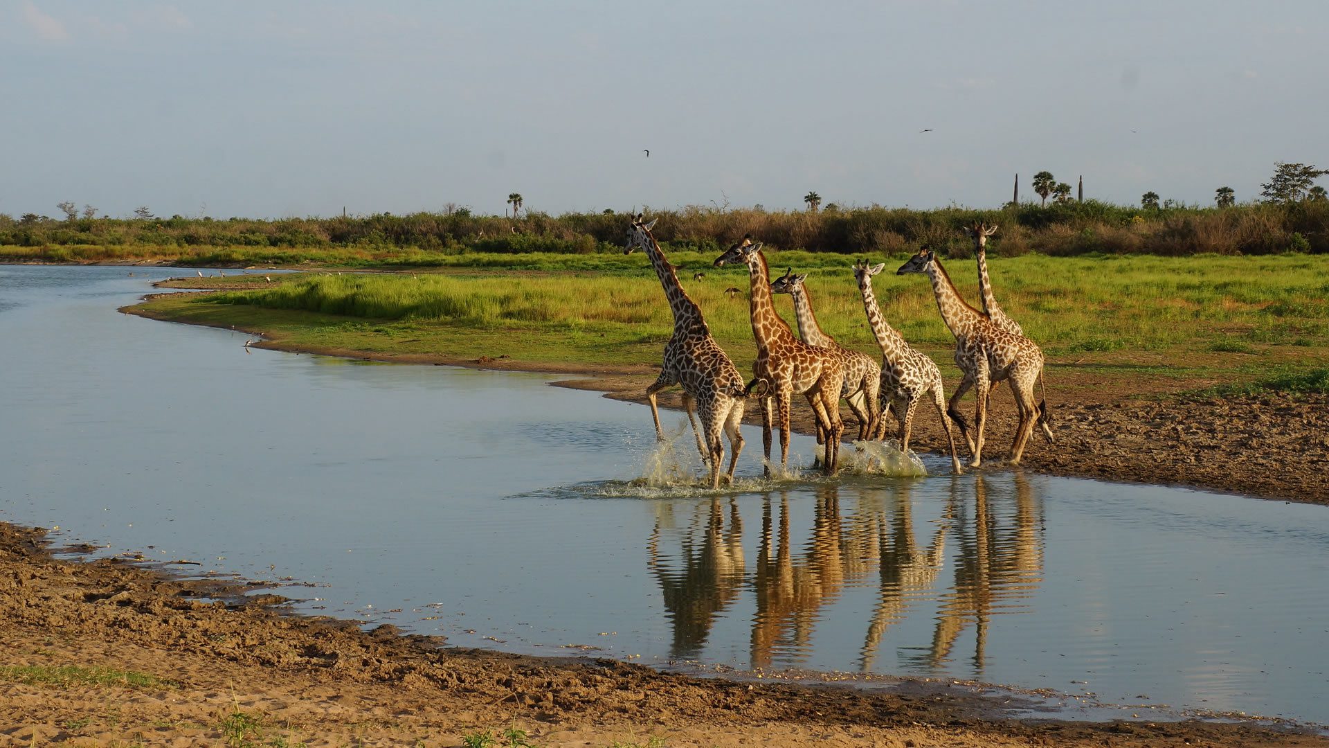 nyerere-national-park