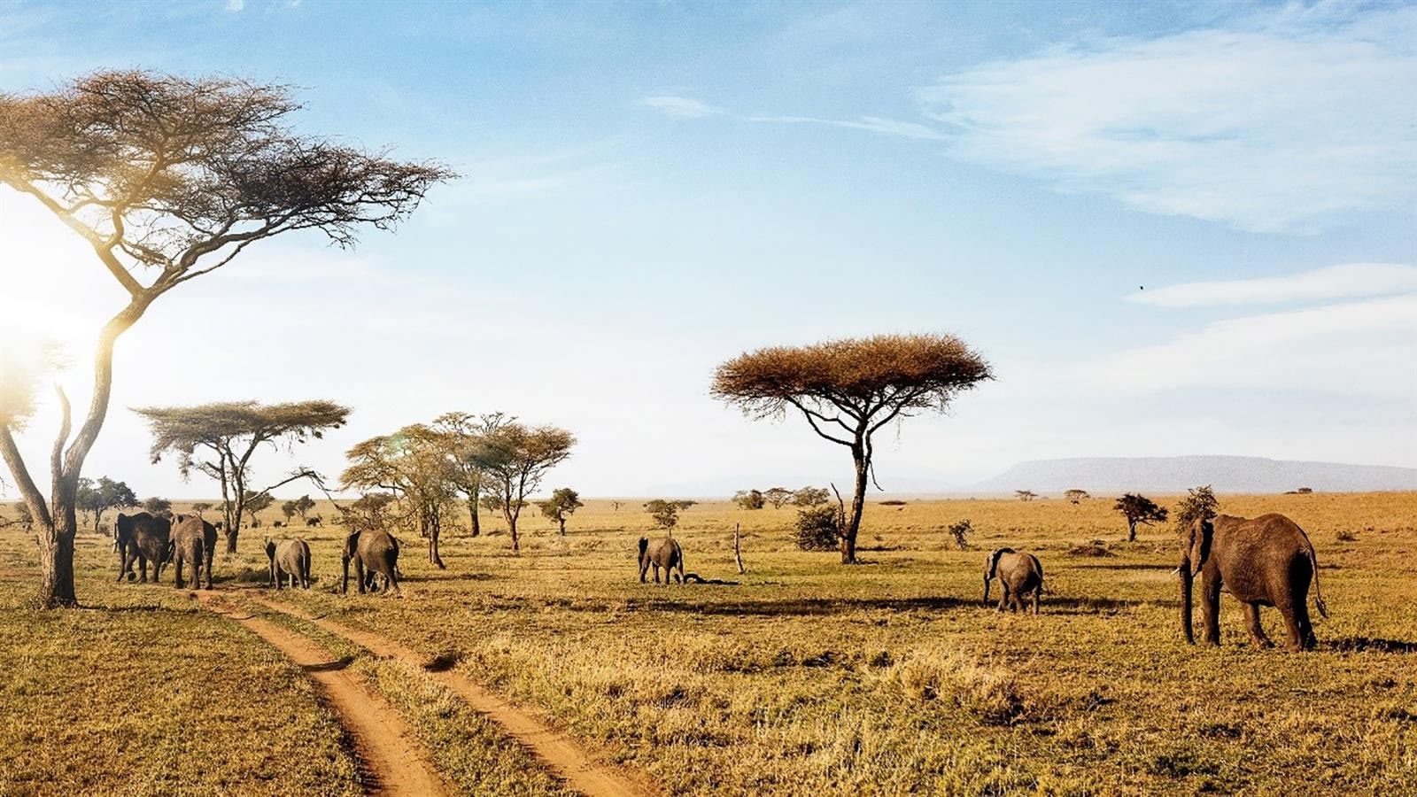 serengeti-national-park3