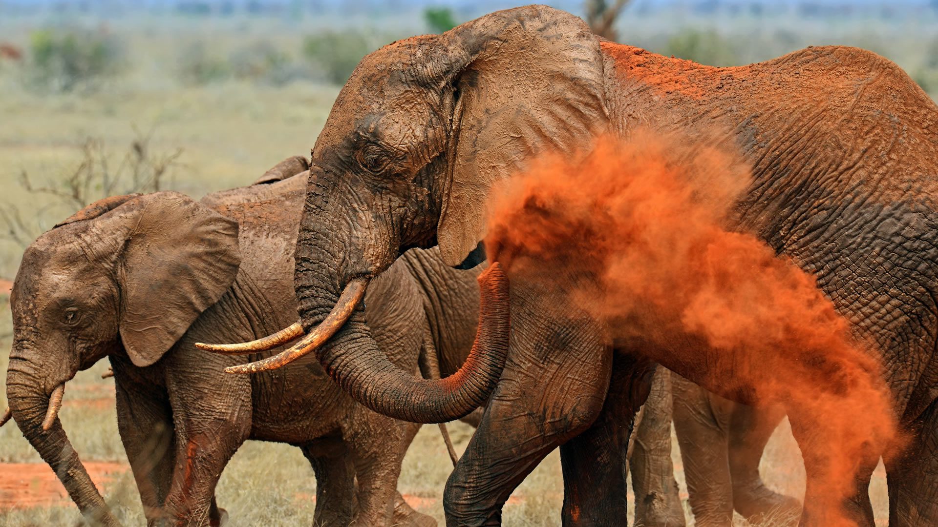 tsavo-east-national-park