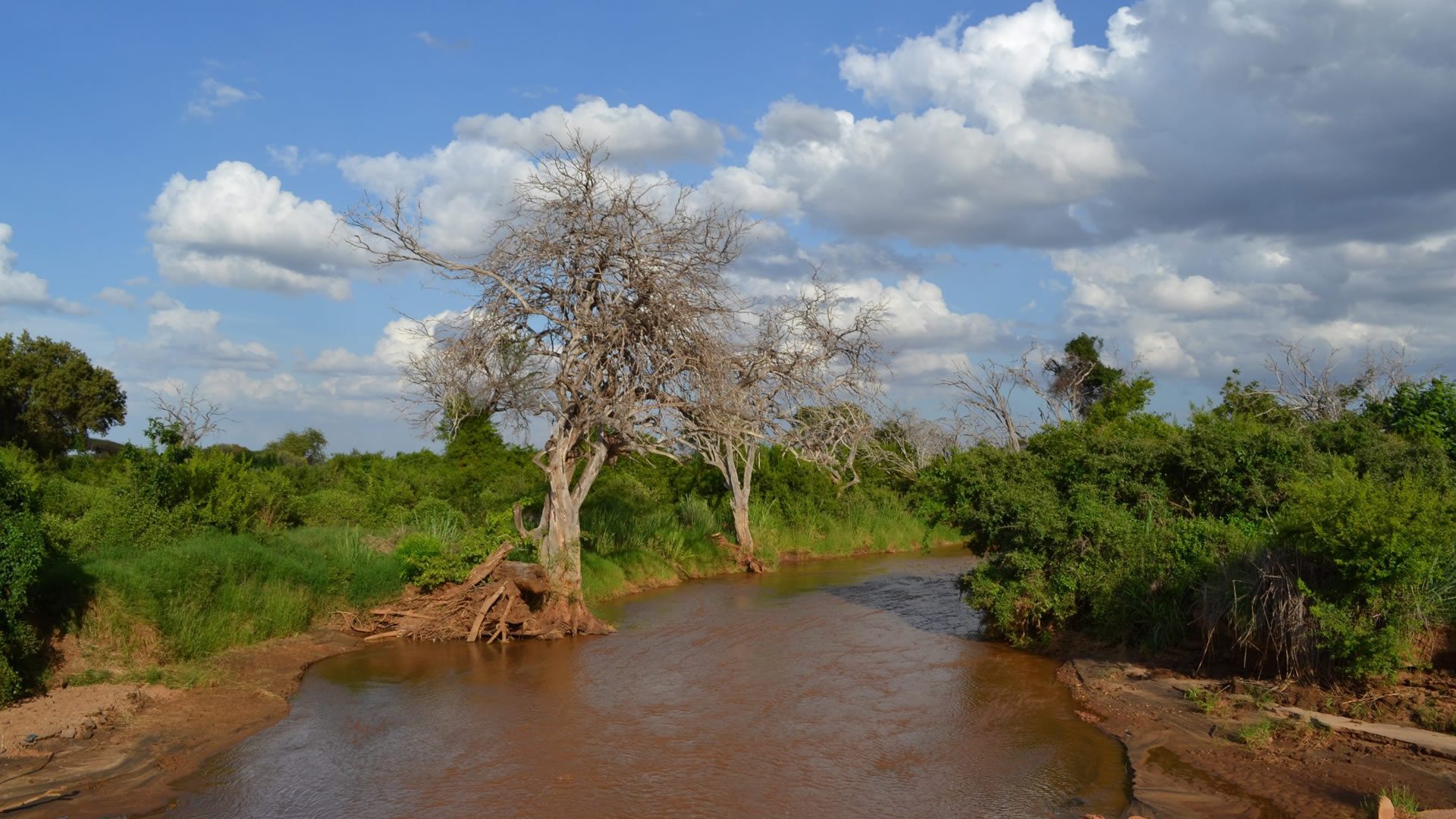 tsavo-east-national-park1