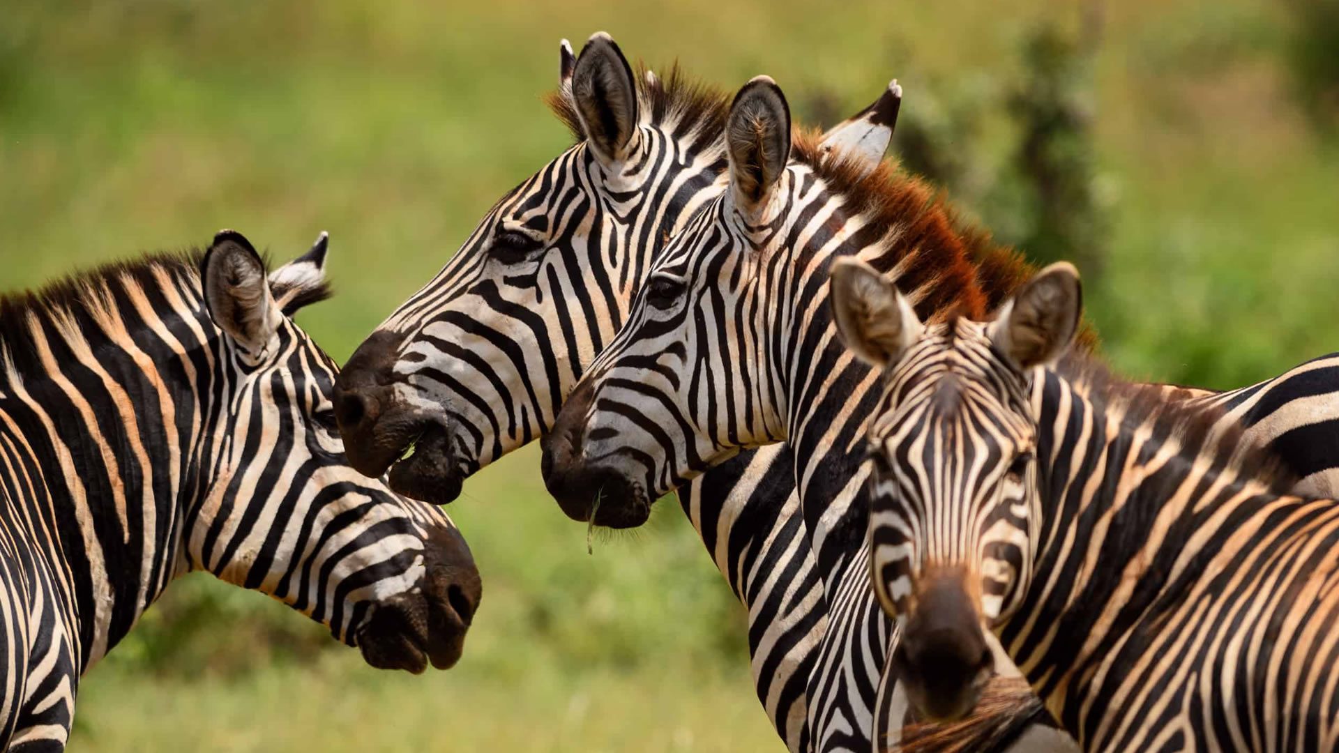 tsavo-east-national-park4